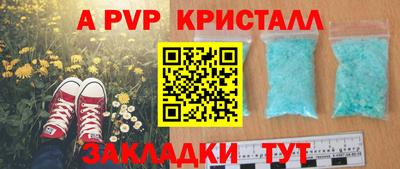 a pvp Дубна