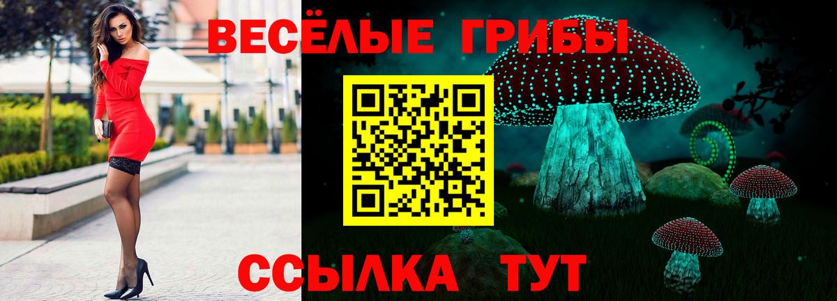 где купить   Вход с VPN  Псилоцибиновые грибы Psilocybe  Малгобек  Псилоцибиновые грибы Cubensis 